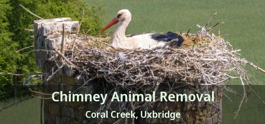Chimney Animal Removal Coral Creek, Uxbridge - ON