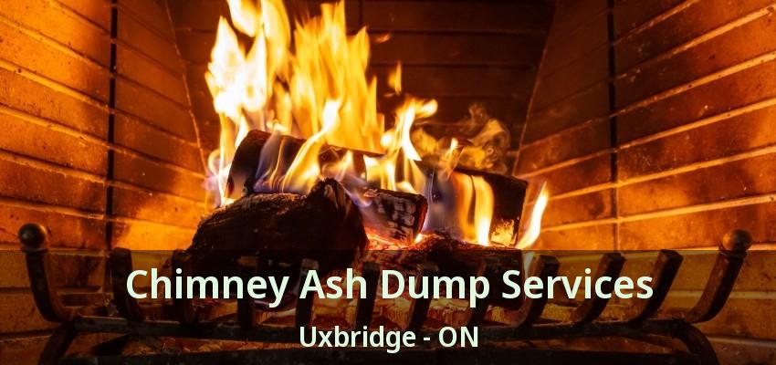Chimney Ash Dump Services Uxbridge - ON