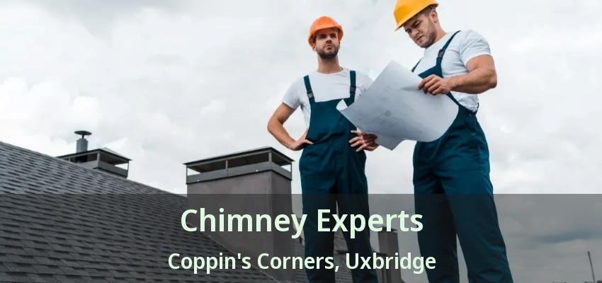 Chimney Experts Coppin's Corners, Uxbridge - ON