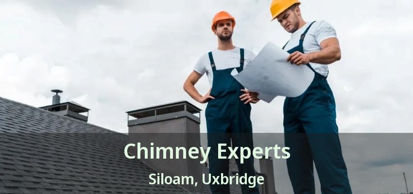 Chimney Experts Siloam, Uxbridge - ON
