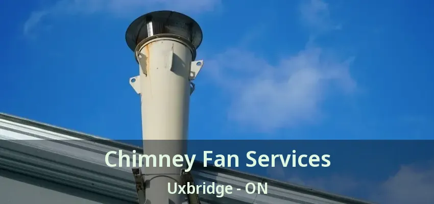 Chimney Fan Services Uxbridge - ON