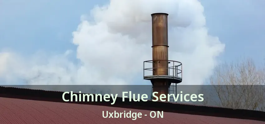 Chimney Flue Services Uxbridge - ON