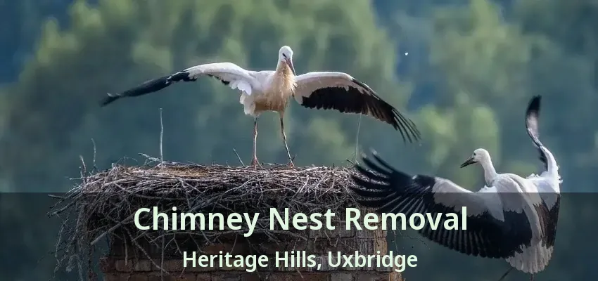 Chimney Nest Removal Heritage Hills, Uxbridge - ON
