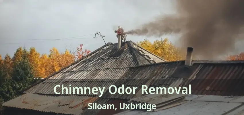 Chimney Odor Removal Siloam, Uxbridge - ON