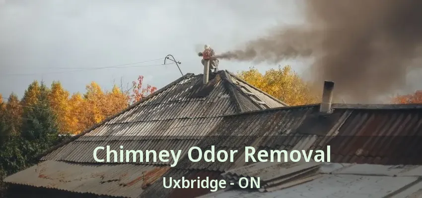 Chimney Odor Removal Uxbridge - ON