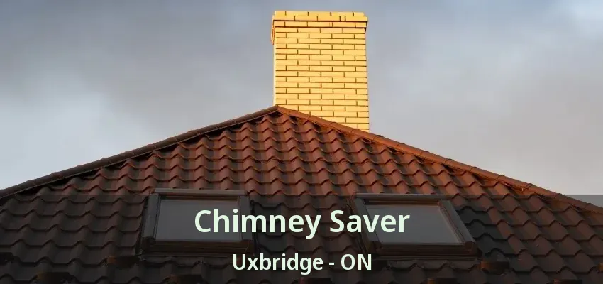 Chimney Saver Uxbridge - ON