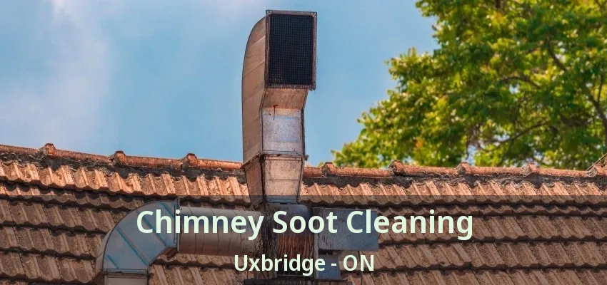Chimney Soot Cleaning Uxbridge - ON