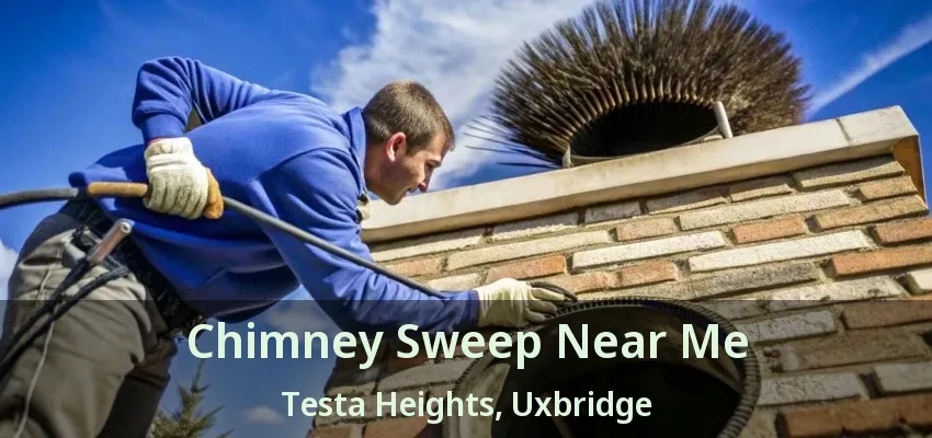 Chimney Sweep Near Me Testa Heights, Uxbridge - ON