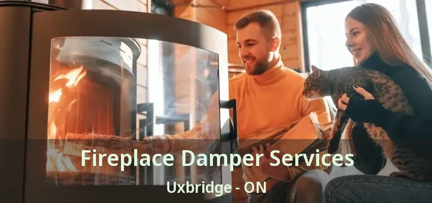 Fireplace Damper Services Uxbridge - ON