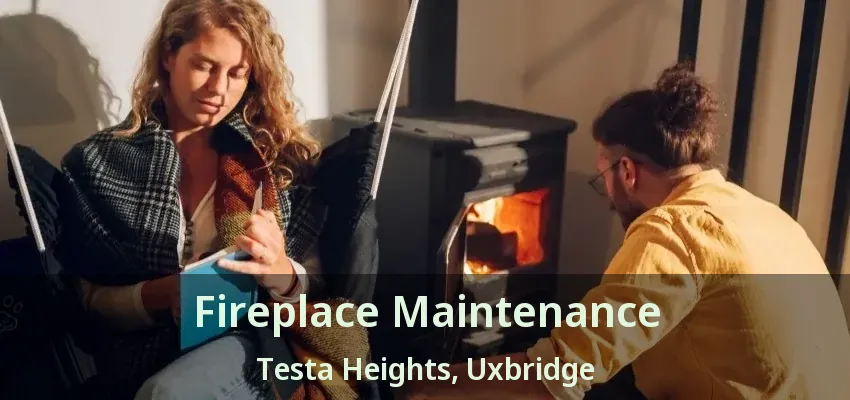Fireplace Maintenance Testa Heights, Uxbridge - ON