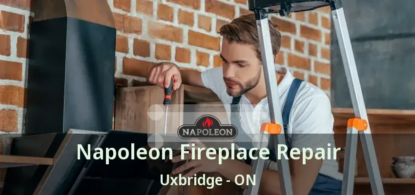 Napoleon Fireplace Repair Uxbridge - ON Napoleon Fireplace Repair Uxbridge - ON