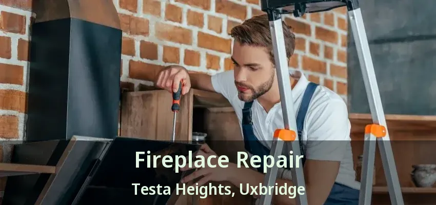 Fireplace Repair Testa Heights, Uxbridge - ON