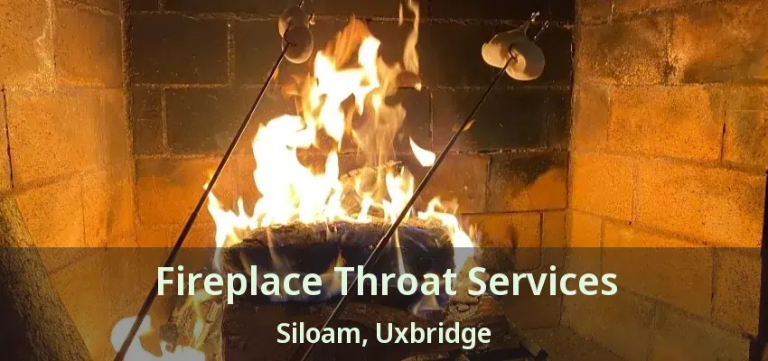 Fireplace Throat Services Siloam, Uxbridge - ON