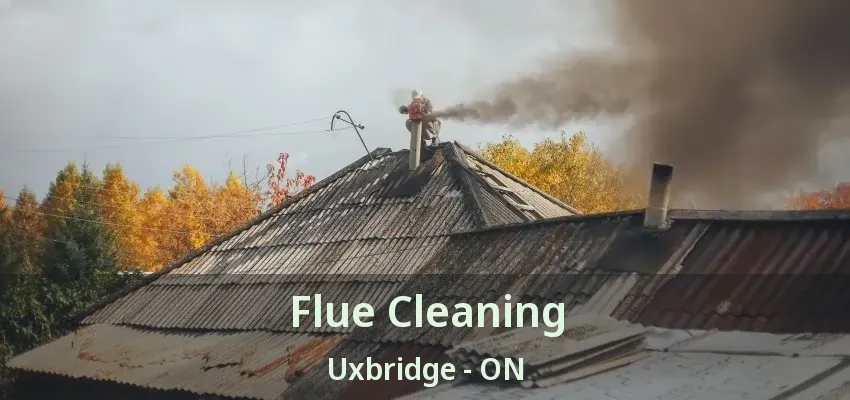 Flue Cleaning Uxbridge - ON