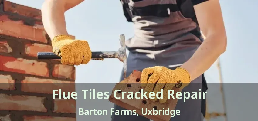 Flue Tiles Cracked Repair Barton Farms, Uxbridge - ON