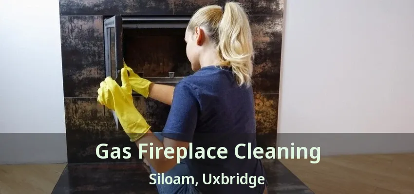 Gas Fireplace Cleaning Siloam, Uxbridge - ON