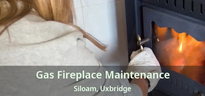 Gas Fireplace Maintenance Siloam, Uxbridge - ON