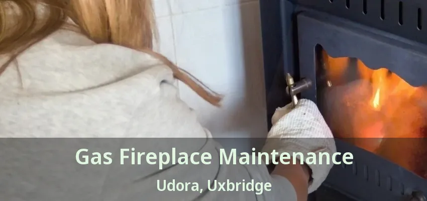 Gas Fireplace Maintenance Udora, Uxbridge - ON