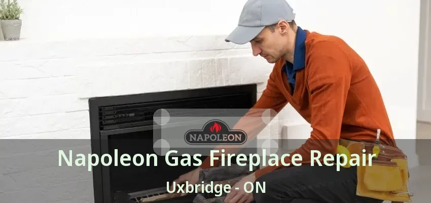Napoleon Gas Fireplace Repair Uxbridge - ON Napoleon Gas Fireplace Repair Uxbridge - ON