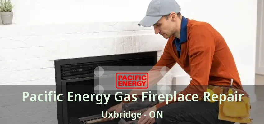 Pacific Energy Gas Fireplace Repair Uxbridge - ON Pacific Energy Gas Fireplace Repair Uxbridge - ON