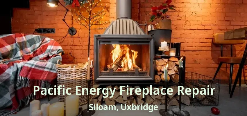 Pacific Energy Fireplace Repair Siloam, Uxbridge - ON