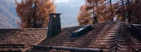 Chimney Animal Removal Siloam, Uxbridge